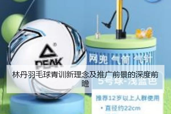 林丹羽毛球青训新理念及推广前景的深度前瞻