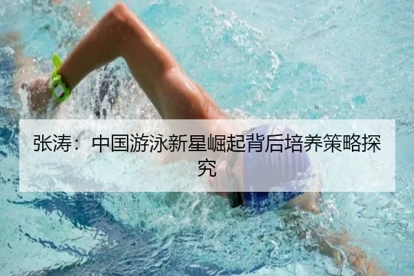 张涛：中国游泳新星崛起背后培养策略探究